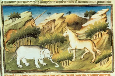 Ms Fr 2810 f.59v, Animali mitici nel deserto, da 